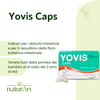 Yovis caps 10 capsule