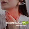 Neoborocillina propolmiele+ spray miele eucalipto 20 ml