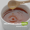 Mela madre aceto mele biologico non filtrato con zenzero 500 ml
