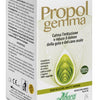 Propolgemma spray no alcool bambini e adulti 30 ml