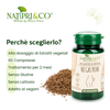 No Gas Prime Integratore per pancia sgonfia e digestione con carciofo, carvi e menta