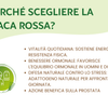 Maca Rossa Integratore per energia, stress e equilibrio ormonale