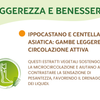 Bromelina Active Prime Azione Drenante, Microcircolo e Leggerezza