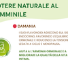 Donna Prime Red: Integratore per il Benessere Femminile e la Vitalità di Coppia con Maca, Damiana e Muira Puama