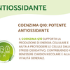 They Prime integratore con Maca Rossa, Coenzima Q10 e Zinco ideale per dare energia e resistenza allo stress