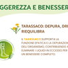 Bromelina Active Prime Azione Drenante, Microcircolo e Leggerezza