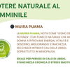 Donna Prime Red: Integratore per il Benessere Femminile e la Vitalità di Coppia con Maca, Damiana e Muira Puama