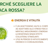 Maca Rossa Integratore per energia, stress e equilibrio ormonale