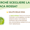 Maca Rossa Integratore per energia, stress e equilibrio ormonale