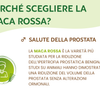 Maca Rossa Integratore per energia, stress e equilibrio ormonale